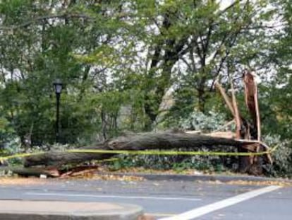 Una vía es afectada por árboles caídos, producto de los fuertes vientos en el Alto Manhattan, Nueva York (EE.UU.).