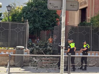 Retirada de los restos de la poda del ficus, con el cura Javier Rodríguez en el centro de la imagen, en 2022.