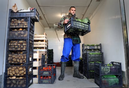 Constantino Poluzzi carga la fruta en una furgoneta para transportarla a uno de los mercados de la región donde venden directamente al público.