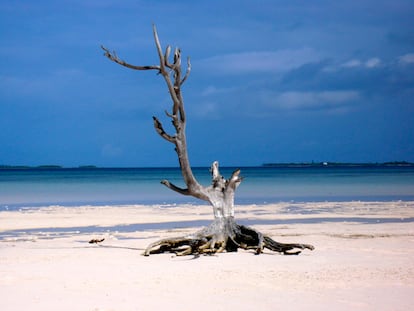 Más fotos de Bahamas