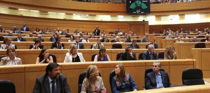 Votación en el Senado de la reforma constitucional.