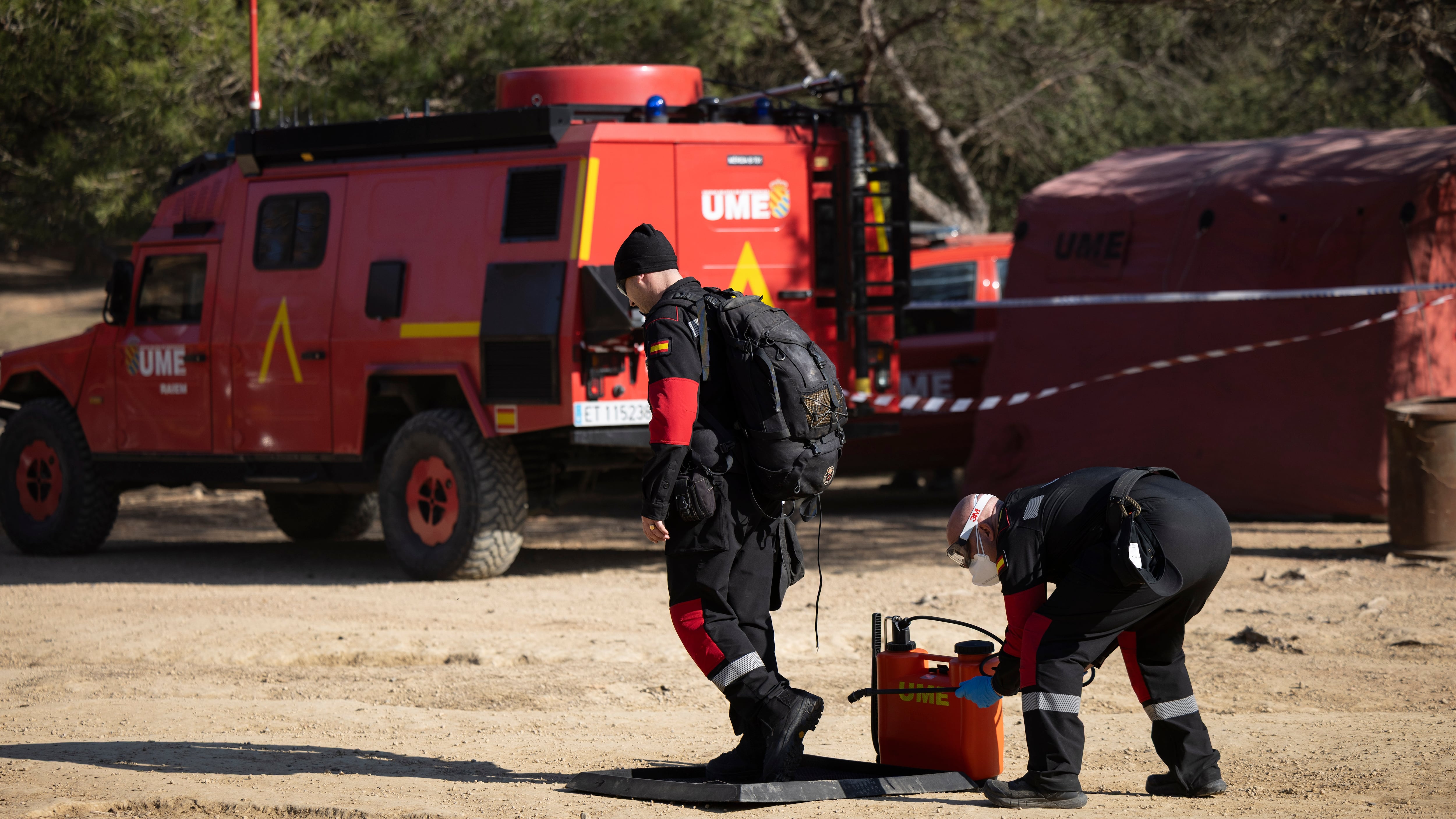 Кабаны под Барселоной: Тревожные находки и борьба с чумой