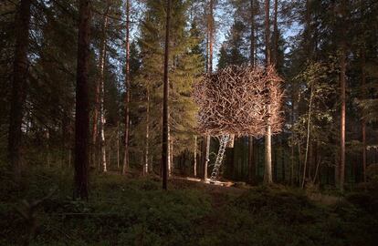 Además de The 7th room, el Treehotel cuenta desde 2010 con otras seis casas en los árboles, que son sus habitaciones. Es un proyecto de diseño contemporáneo en medio del bosque. En esta foto, The Bird's Nest (El nido de pájaro), al que se sube con una escalera plegable.