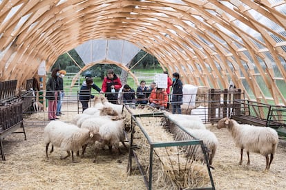 Un taller para personas con diversidad cognitiva en el interior de la majada de Inland–Campo Adentro, en la Casa de Campo.