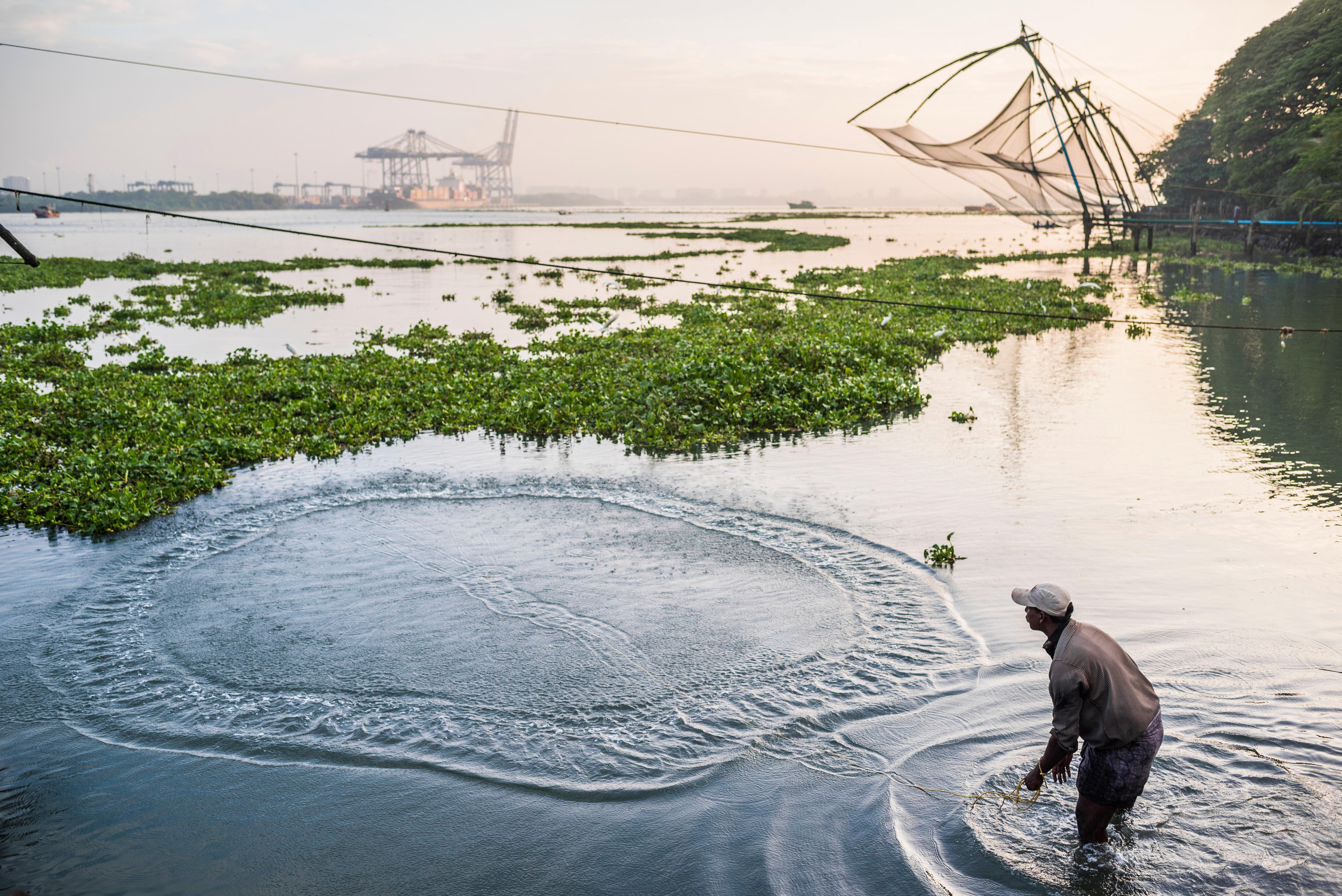 Los tradicionales métodos de pesca en Kochi provienen de China.