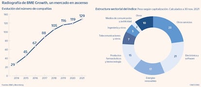 Radiografía de BME Growth, un mercado en ascenso