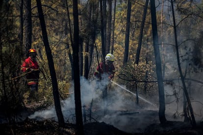 Um grupo de bombeiros que trabalham na extinção do incêndio florestal na área de Sarnadas, Portugal.