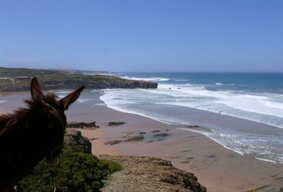 Una de las atracciones turísticas de la Costa Vicentina, la franja litoral del sudoeste de Portugal, que transcurre entre Odeceixe y Burgau, es conocer los maravillosos paisajes verdes y vírgenes montados en un asno. En la empresa Burros y Arte organizan amenas excursiones con este animal para aprender un poco más de su estilo de vida y disfrutar de caminos totalmente salvajes. Igualmente cabe destacar otra modalidad deportiva que tiene mucho éxito en estas playas y además no perturba el medio ambiente: el Eco-Kart Landsailing. Se trata de un 'kart' con vela que se mueve, en la arena, por el viento. Dónde: Eco-Kart Track, entre Vila do Bispo y Sagres.