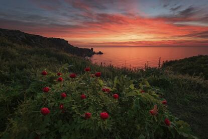 Cada verano, oleadas de amantes de la naturaleza acuden a Kamen Bryag, población costera búlgara, entre Shabla y Kavarna, en el Mar Negro, a darle la bienvenida al primer amanecer de julio. A dos kilómetros al sur se encuentra la reserva nacional arqueológica de Yailata (en la imagen), donde se han descubierto restos de templos milenarios, una necrópolis tracia y 101 cuevas excavadas en la roca, quizás por tribus sármatas. Por estas tierras, hogar de más de 50 especies de pájaros, pasa una de las principales rutas de aves migratorias.