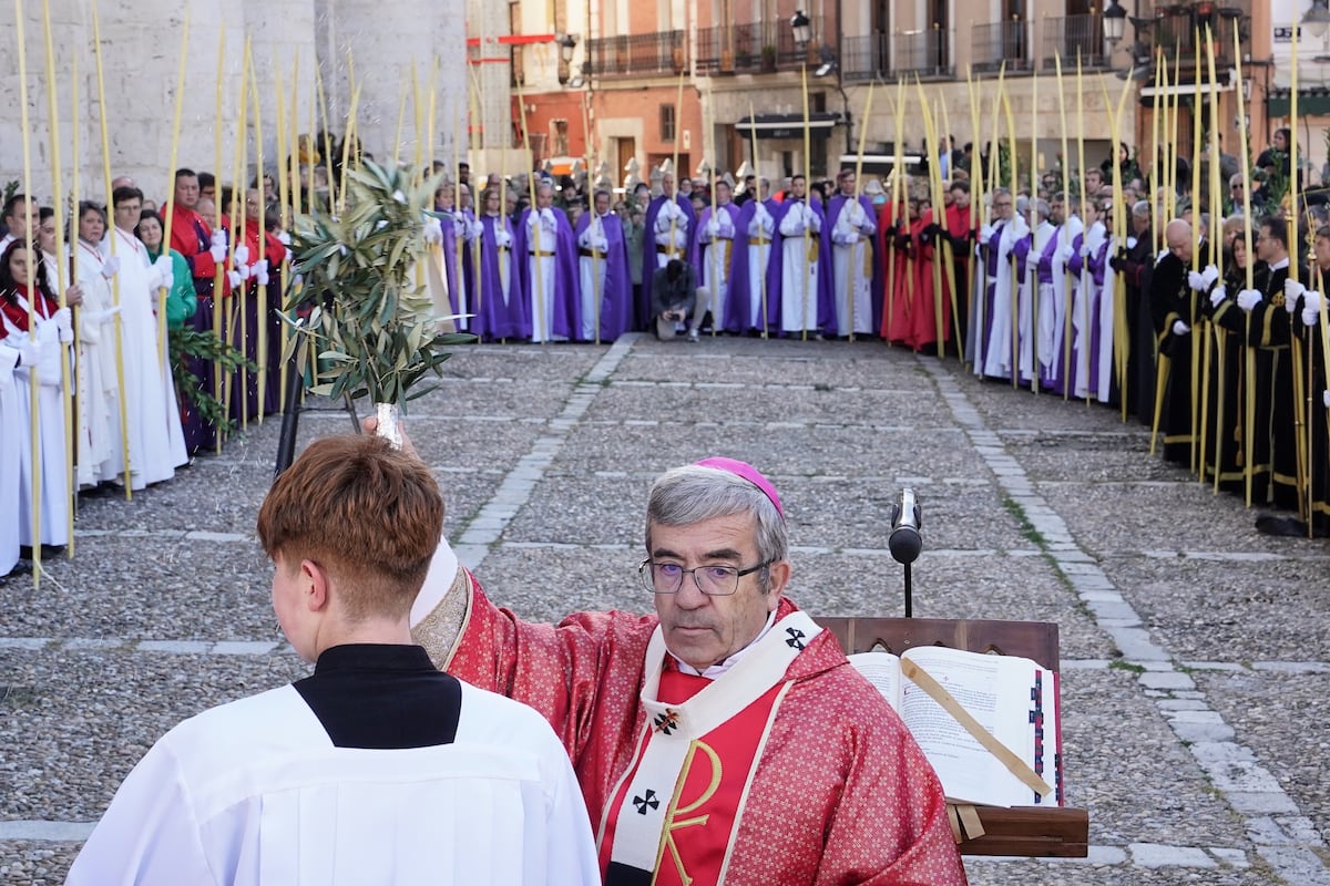 The Church and the Government agree on the protocol to compensate victims of abuse who cannot go to justice | Society The Church and the Government agree on the protocol to compensate victims of abuse who cannot go to justice | Society