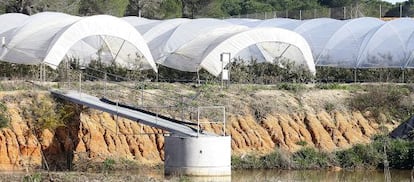 Invernadero regado con un pozo en la zona de Moguer y Palos (Huelva), pr&oacute;xima a Do&ntilde;ana.