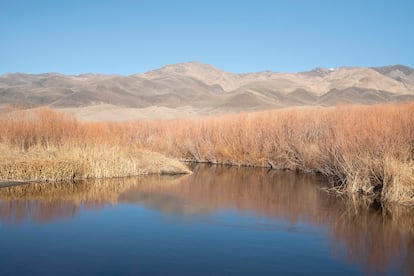 Paisaje en Bishop, en el condado de Inyo (California), uno de los puntos centrales de “las guerras del agua”.
