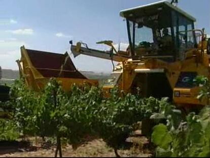 EL GPS se introduce en las primeras vendimias de la temporada