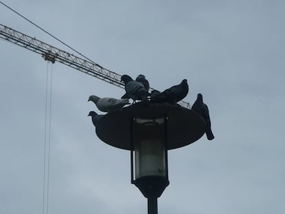 El peligroso alpiste de Merkel