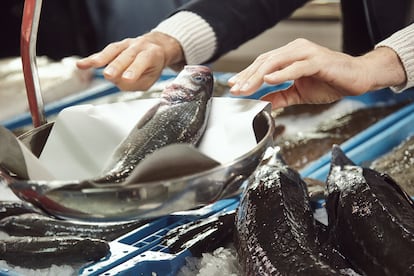 La dieta de los peces de cultivo requiere de un contenido específico (cada vez más reducido) en harina y aceite de pescado para mantener un perfil nutricional adecuado.