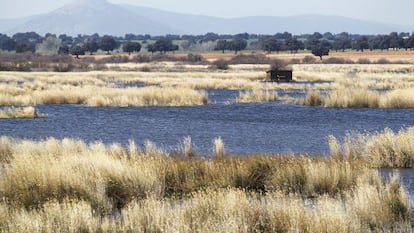 Las Tablas de Daimiel