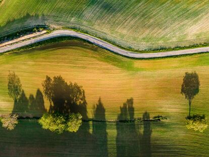 Campos de cultivo en Solignano Nuovo, cerca de Módena, en la región italiana de Emilia Romagna.