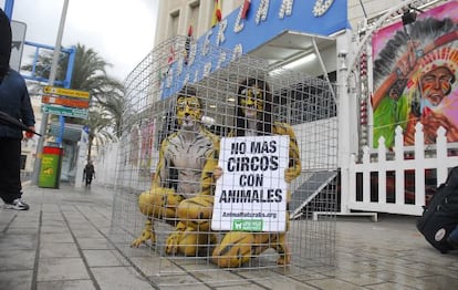 Activistas de AnimaNaturalis contra el maltrato de los animales en un circo de Alicante. 