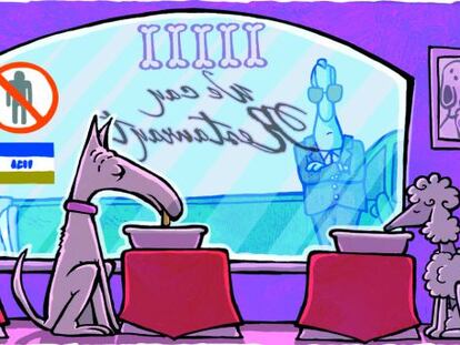 Miguitas como señal del apocalipsis