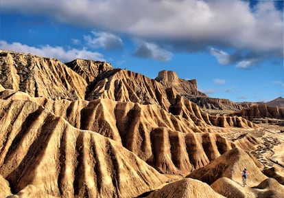 Las arcillas y areniscas del semidesierto de las Bardenas, entre los valles del Ebro y el Aragón, han sido erosionadas por el viento y las escasas aguas torrenciales que se registran en esta región. Justamente, es el agua de escorrentía el que provoca estos relieves "de piel de elefante", de aspecto lunar. En las bárdenas se diferencian tres sectores: el plano, una planicie en la que se cultivan cereales; la bardena blanca, mucho menos fecunda, en la que el yeso y las sales confieren ese tono blanquecino; y la bardena negra, sorprendente por sus barrancos y el bosque mediterráneo. www.bardenasreales.es