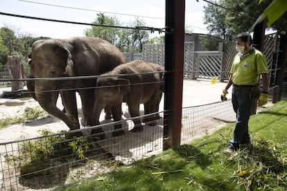 Visita al zoo de Madrid mes y medio despus de que se decretase el estado de alarma.