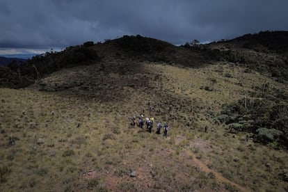 Un grupo de guías locales y visitantes recorren el páramo en busca del lugar de siembra de los frailejones.