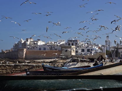 Vista del puerto pesquero de Essaouira.