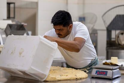 La masa lista para ser dividida en porciones de 600 gramos (para el 'panettone' de medio kilo).