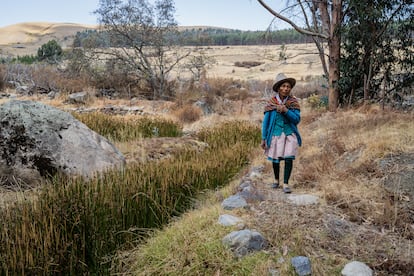 La mayor parte del tiempo, los comuneros de Cordillera Blanca trabajan en el campo para llevar el sustento a su hogar.