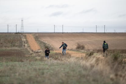 Los agentes de la Guardia Civil inspeccionan este martes el lugar donde una mujer fue atacada mortalmente por perros en Roales del Pan (Zamora).