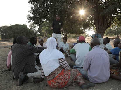 Los vecinos de Kuluunda (Malawi) que lucharon por sus derechos sobre las tierras que cultivaban, reunidos bajo un manduro.