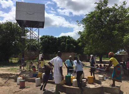 En el mundo, las personas infectadas por las helmintiasis transmitidas por el suelo son alrededor de 1.500 millones, según la Organización Mundial de la Salud.