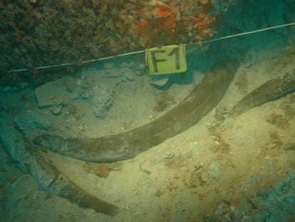 Defensas de elefante encontradas entre los restos de un antiguo barco fenicio, que se hundió en el Bajo de la Campana (frente a las costas de Cartagena) en el siglo VI A.C.