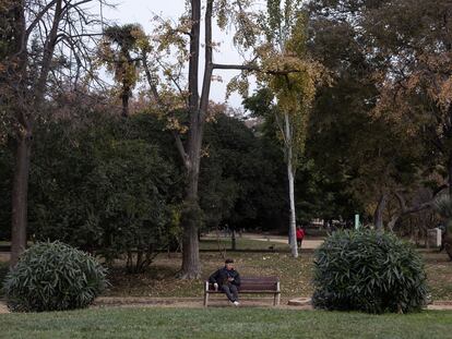 DVD 1137 07/12/22 Un joven descansa en un banco envueto de arboles.
Parque de la Ciutadella. Barcelona, 7 de diciembre de 2022 [ALBERT GARCIA]