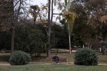 El parque de la Ciutadella, en Barcelona.