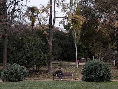 DVD 1137 07/12/22 Un joven descansa en un banco envueto de arboles.
Parque de la Ciutadella. Barcelona, 7 de diciembre de 2022 [ALBERT GARCIA]