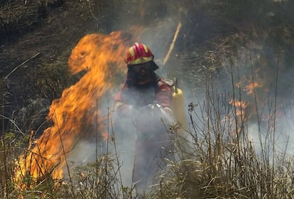 Un operario trabaja en una zona de Andratx.