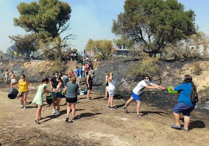 Vecinos de Puerto Real (Cádiz) hacen una cadena humana para intentar apagar las llamas en la zona de pinos de Las Canteras. 