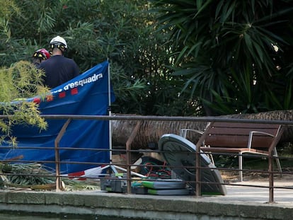 Lugar donde cayó la palmera, en el parque de la Ciutadella, que aplastó a Xavi.