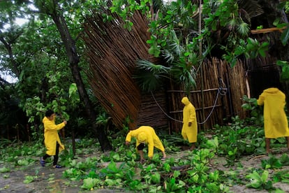 Voluntarios trabajan limpiando las calles de Tulum, tras el paso del huracán 'Beryl' por la zona maya. 