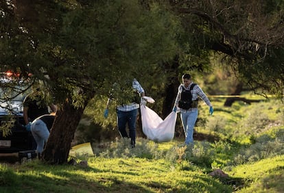 Members of a forensics team transport the body of a man who was found in Guadalupe, Zacatecas, on September 4, 2023.