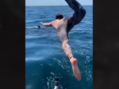 El error que llevó a un pescador a nadar junto a un tiburón blanco 