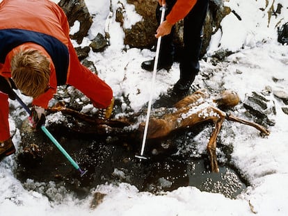 Ötzi, <i>el hombre del hielo,</i> fue hallado en 1991 en la planicie subglaciar de Tisenjoch, entre Austria e Italia.