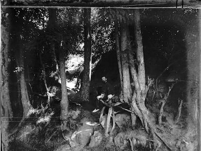 Fotografía tomada en la localidad de Auvers-sur-Oise (norte de París), alrededor de 1907, que muestra las raíces que pintó Van Gogh en su último cuadro.