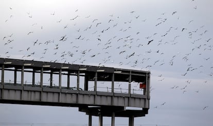 El aeropuerto cuenta también con terminal, el aparcamiento, la pasarela sin terminar que conduciría a la vía férrea y el resto de los edificios e instalaciones necesarias para el funcionamiento que se hallan fuera de estos terrenos.