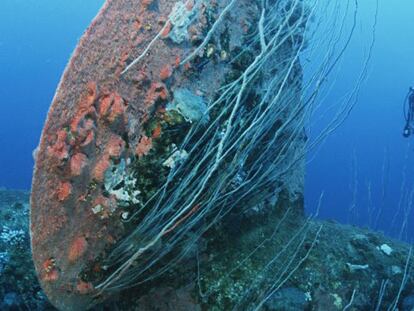 Un buceador observa un buque de guerra hundido en el Pacífico, junto al atolón Bikini, en las Islas Marshall.