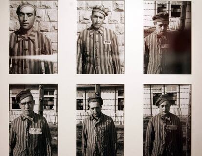 Fotos de republicanos españoles prisioneros en el campo de Mauthausen.