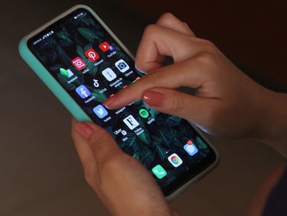 Ley de Ciberseguridad en Puebla