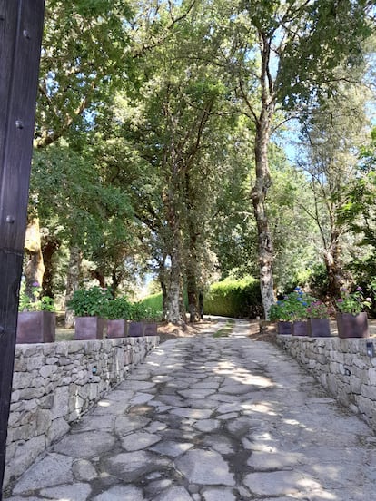 Camino de acceso a la vivienda en la finca de Julio Iglesias en Piñor.