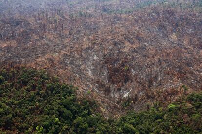 Una parcela quemada en el Bosque Nacional Jamanxim en el Amazonas, cerca de Novo Progresso (Brasil), el 11 de septiembre de 2019.